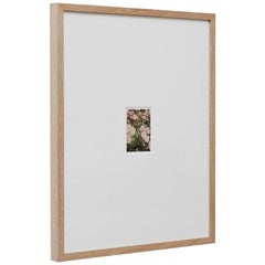 David Urbano Fotografia Contemporanea il Giardino delle Rose No 33