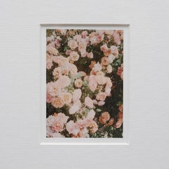 David Urbano Fotografia Contemporanea il Giardino delle Rose No 40