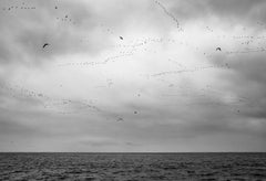 Migration Lines: Minimalist Abstract Photography, Archival Pigment Print