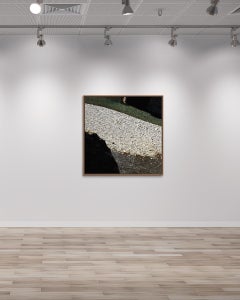 Astrazione naturale: fotografia astratta della natura, stampa a pigmenti di qualità archivistica
