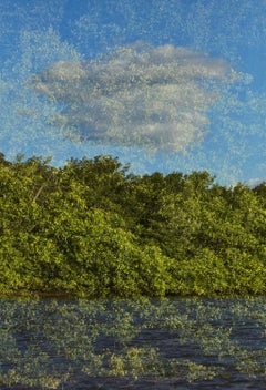 Layers of Nature: Abstract Nature Photography, Archival Pigment Print