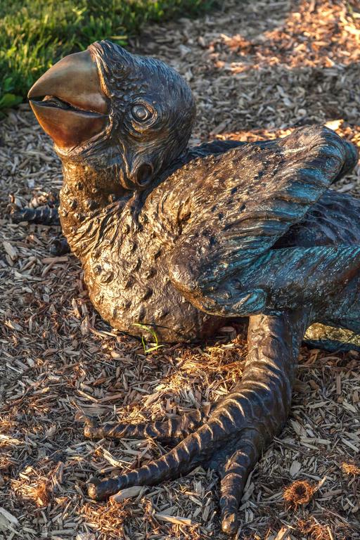 Macaw - large, rustic, figurative, animal, bird, bronze, outdoor sculpture - Contemporary Sculpture by Nicholas Crombach