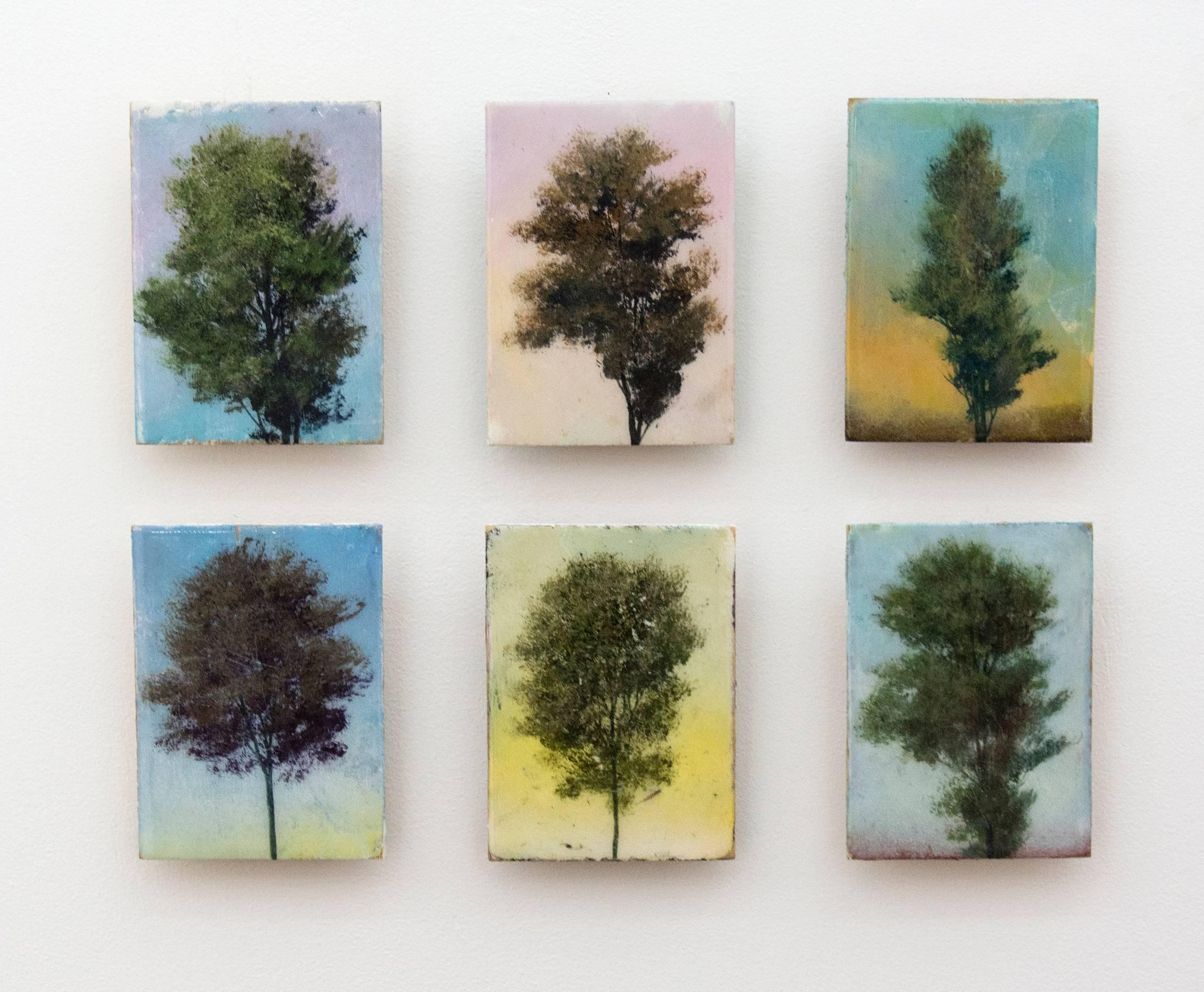 A trio of singular trees displayed on colorful and textured backgrounds.  The surface is resined. 

Born in Brantford Ontario in 1965, Hoffer has a M.F.A. from Concordia University in Montréal, degrees from the University of Guelph, Ontario, and