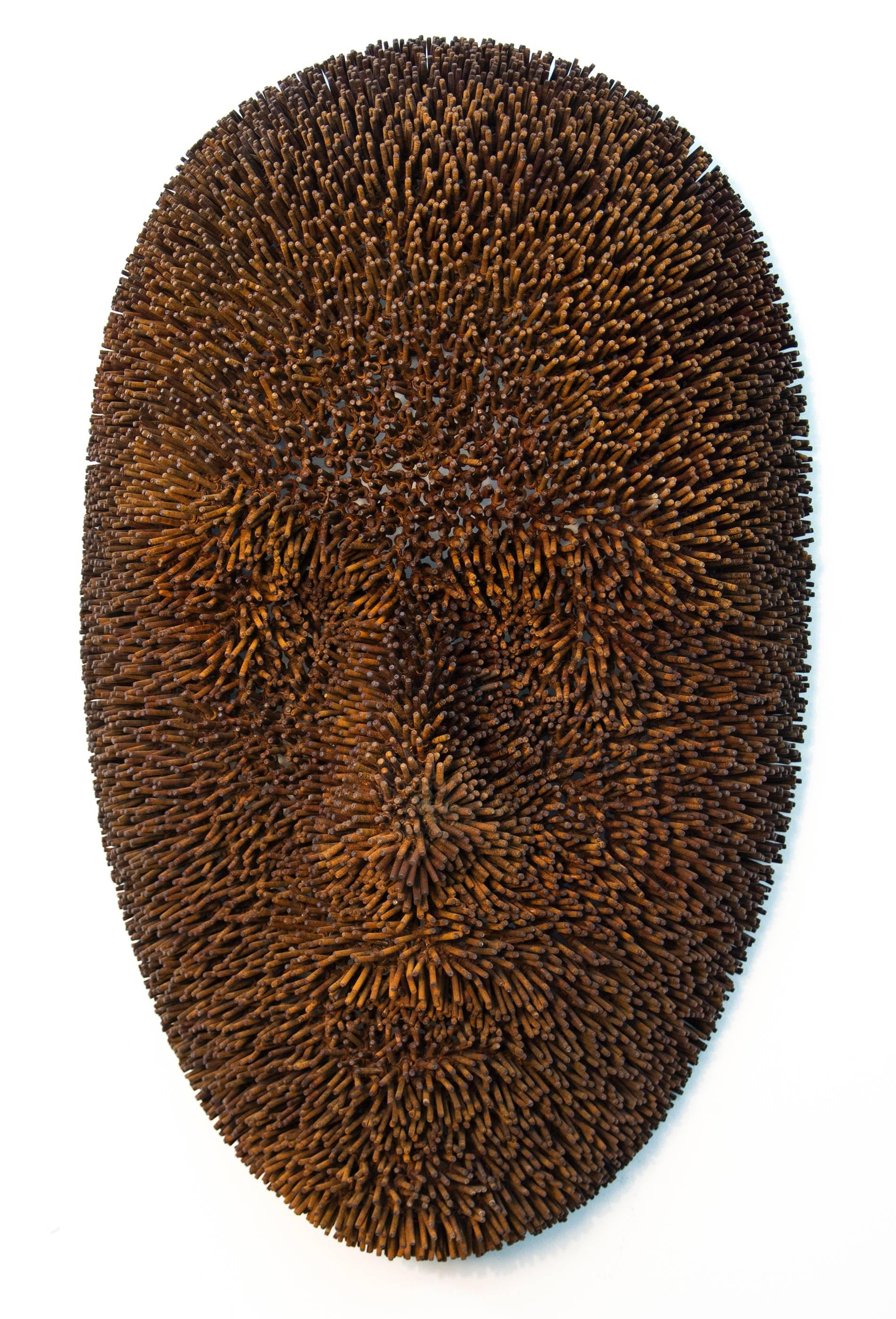 Anemone - Contemporary Sculpture by Dale Dunning