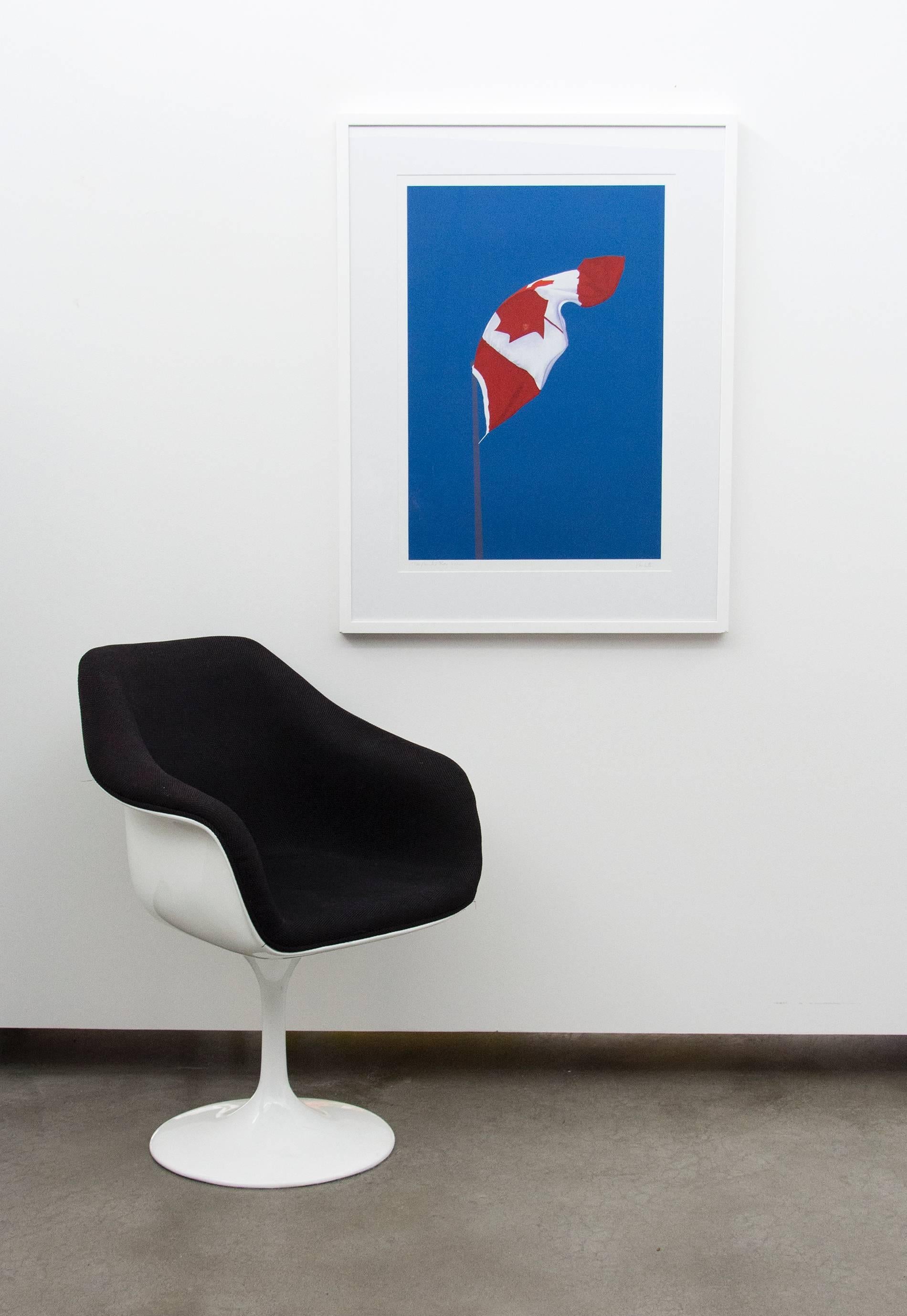 The Painted Flag  - Contemporary Print by Charles Pachter
