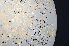 Reflecting Nature Series No 1 - polished stainless steel, copper, wall sculpture