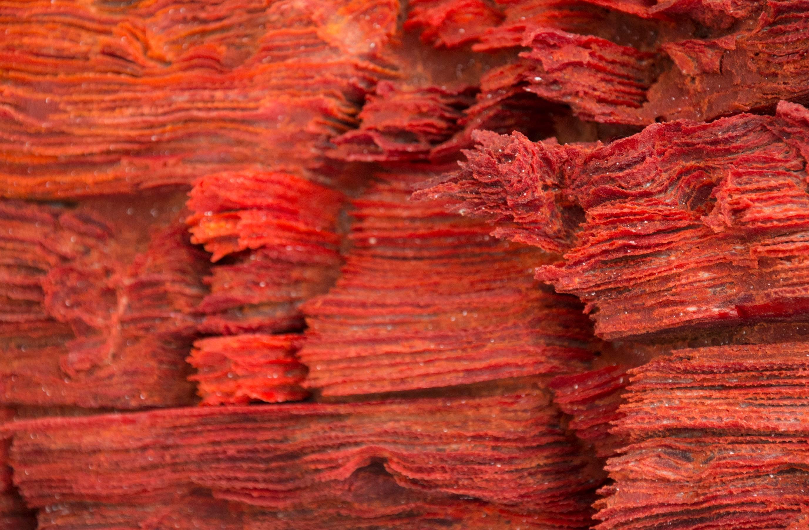 Layers of lush red and orange glass are fused together in this vibrant and flowing sculptural wall piece. The glass frit is fused in delicate layers and shapes that evoke the weathering of rock in nature from wind and water.  

The coral-like