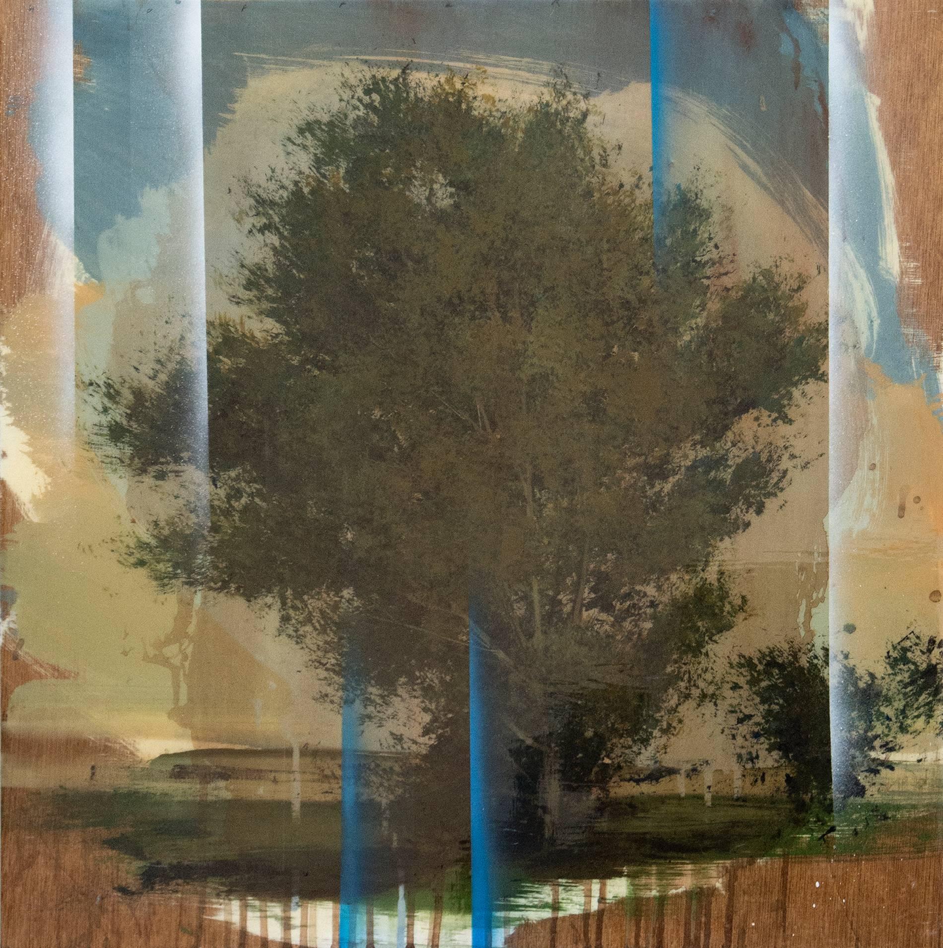 Blue Halo - earthy, landscape, tree, contemporary, acrylic, resin on panel - Painting by Peter Hoffer
