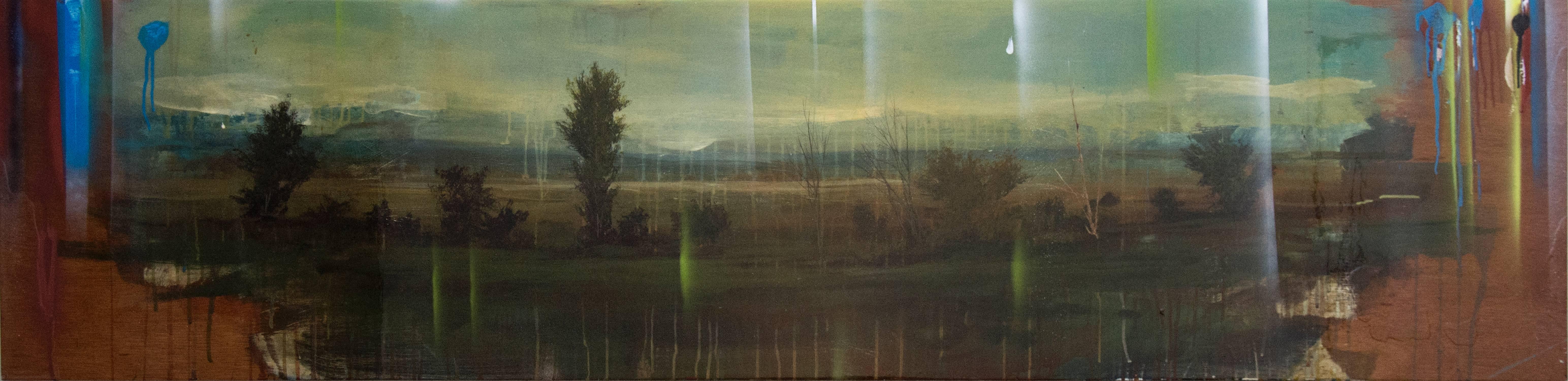 Panoramic No 1 - green, red, brown, yellow, horizontal, acrylic, resin on board