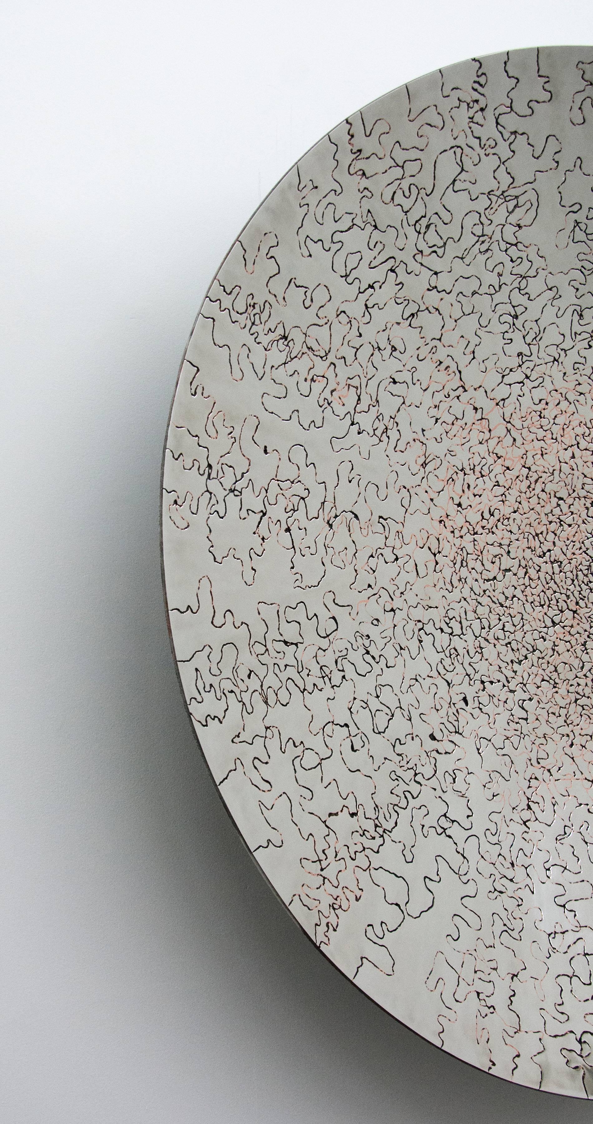 Sencillamente impresionante. Brillan como joyas... Ésta es la serie Reflejos de la Naturaleza de Shayne Dark. La magnífica obra escultórica de Dark se inspira en la naturaleza. Esta serie de esculturas-tondos murales de acero inoxidable, cobre y