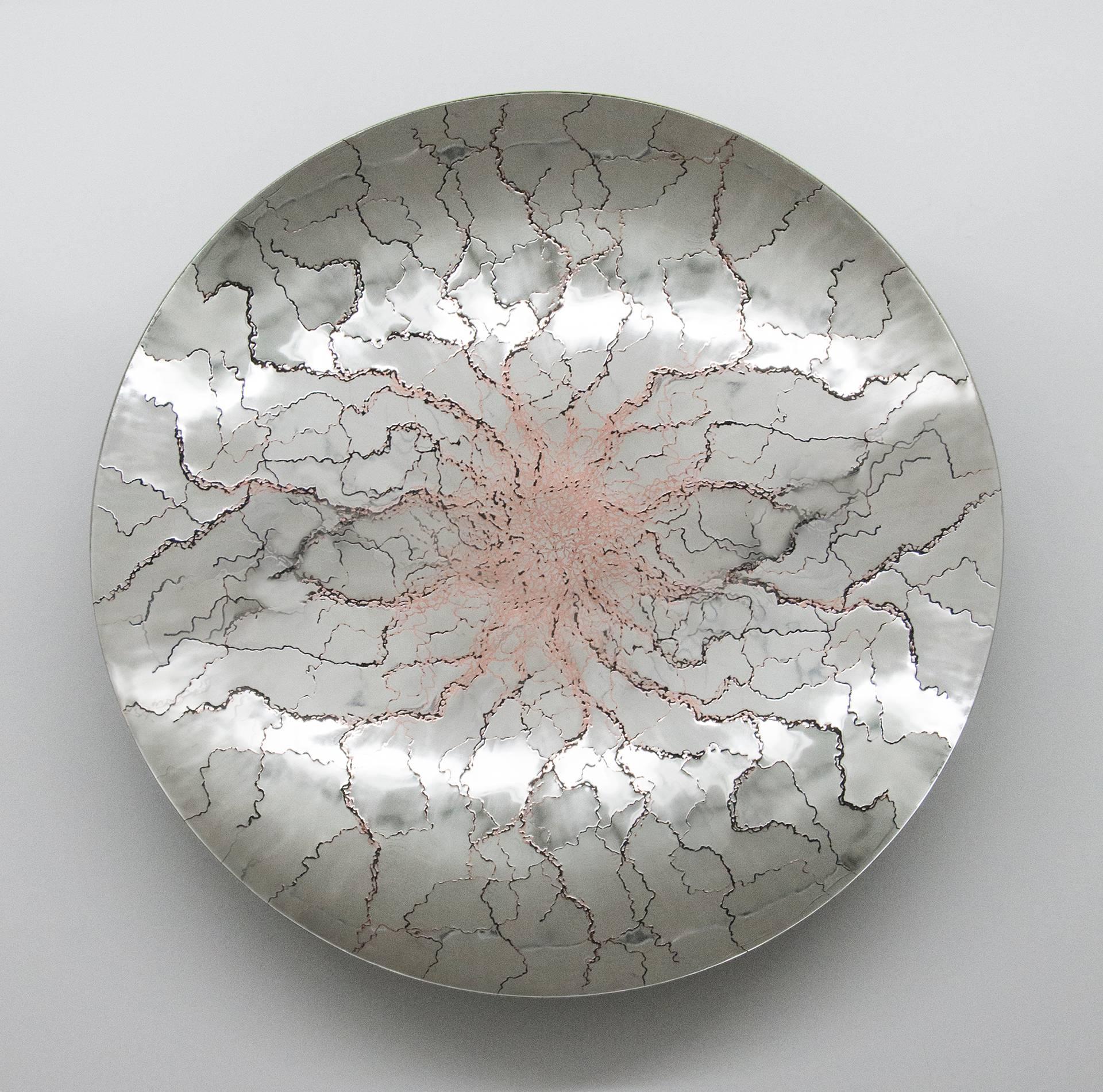 Reflejos de la Naturaleza Serie 2 - escultura mural reflectante de acero y cobre