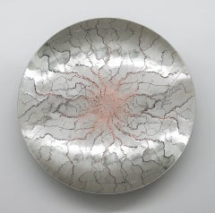 Used Reflections of Nature Series 2 - reflective, steel, copper, wall sculpture