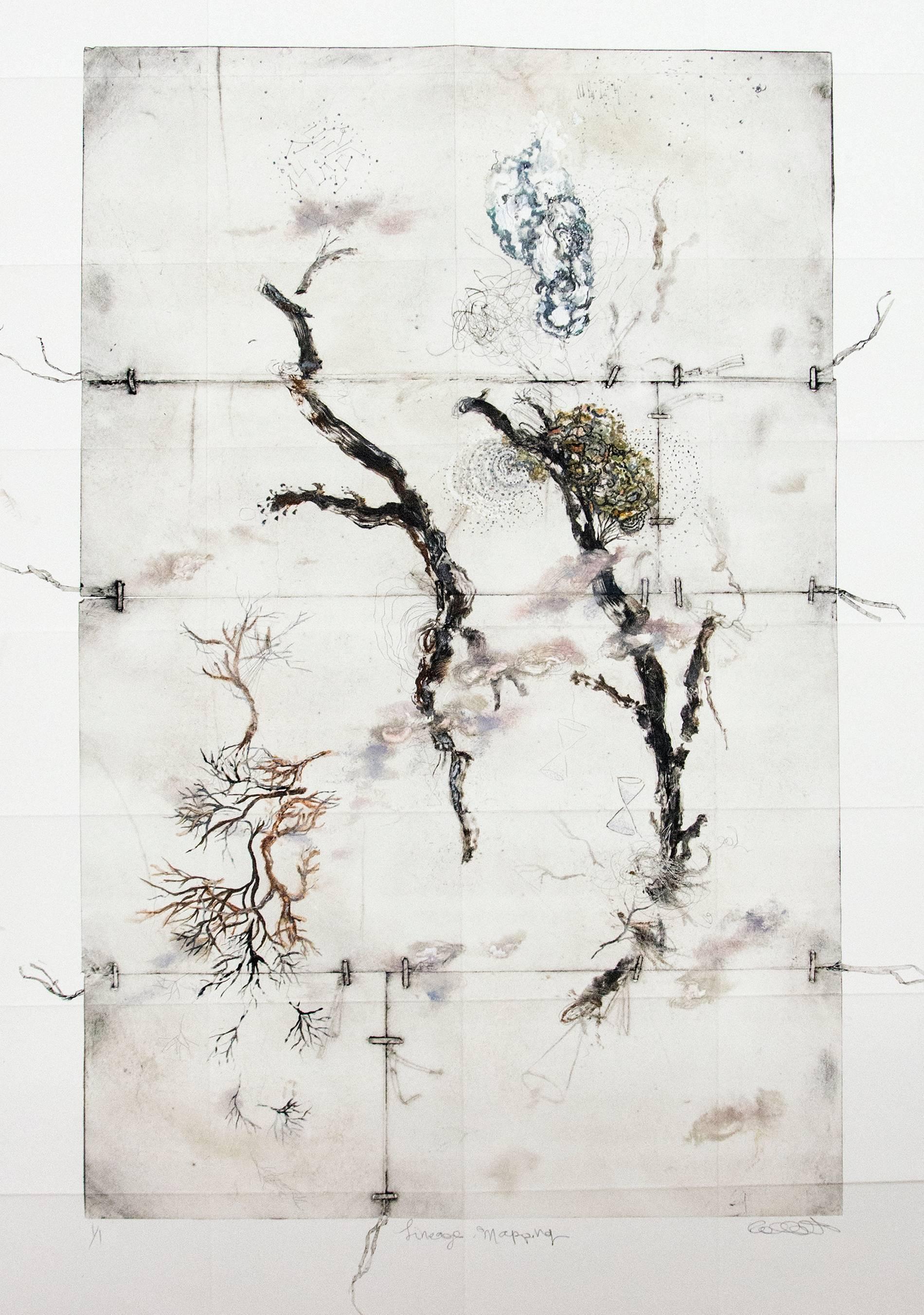 Lineage Mapping - delicate, copper, oil ink, sketch, monoprint on archival paper