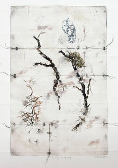 Lineage Mapping - delicate, copper, oil ink, sketch, monoprint on archival paper