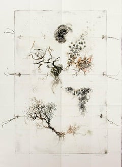 Lineage Mapping Sequel - delicate, copper, oil ink, monoprint on archival paper