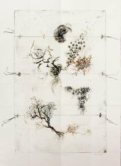 Lineage Mapping Sequel - delicata, rame, inchiostro ad olio, monoprint su carta d'archivio