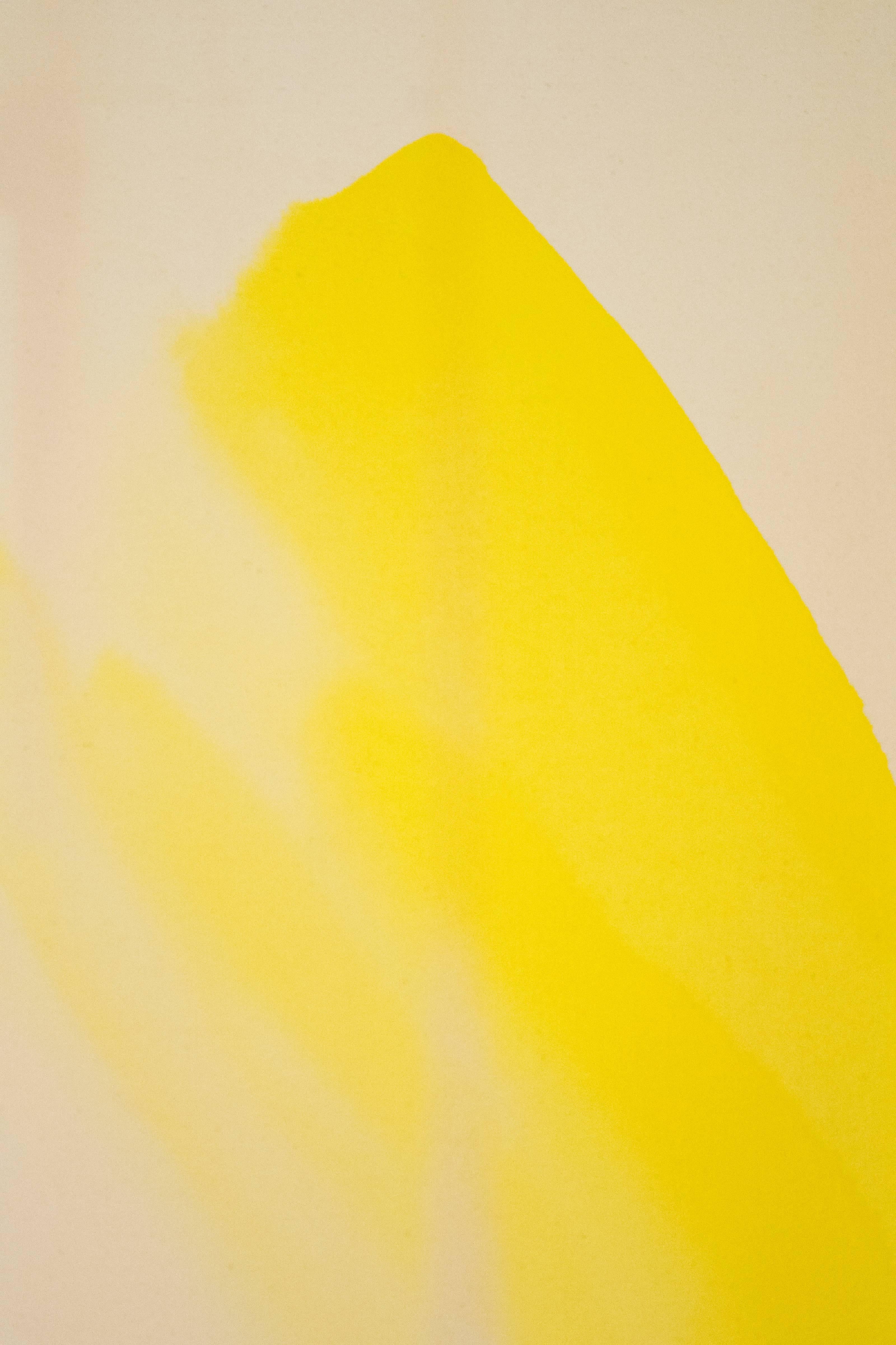 Die Farbe des Lichts – groß, gelb, lila, gestisches abstraktes Acryl auf Leinwand (Zeitgenössisch), Painting, von Milly Ristvedt