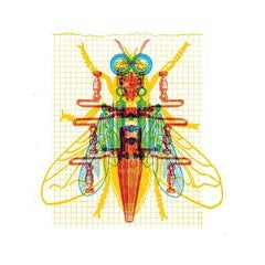 CMY FLY 10