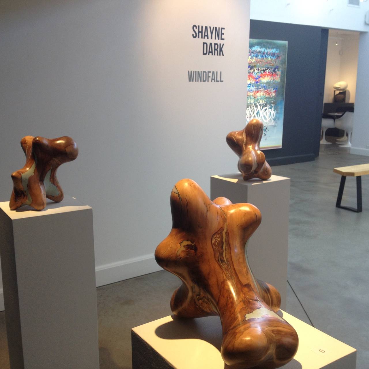 This series of eight abstract sculptures by Shayne Dark is made from applewood burls collected from apple orchards in Prince Edward County. 