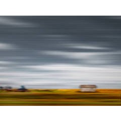 Farmland Afternoon 4