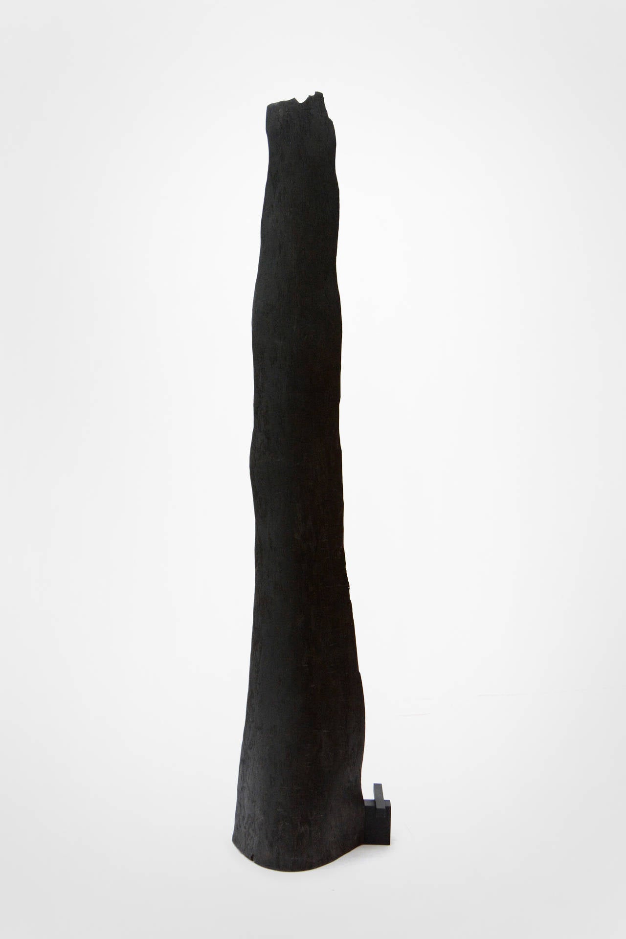 Refuge - tall, dynamic, dark, modern, contemporary, abstract, wooden sculpture - Contemporary Sculpture by Edward Falkenberg