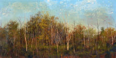 Birch Trees
