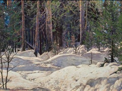 The Onoman Forest