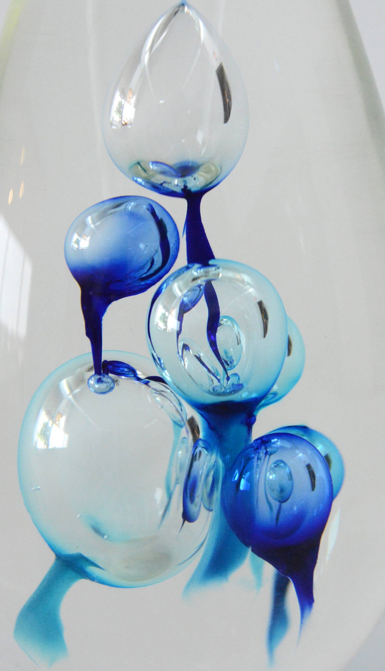 Evolution Paperweight - Blue