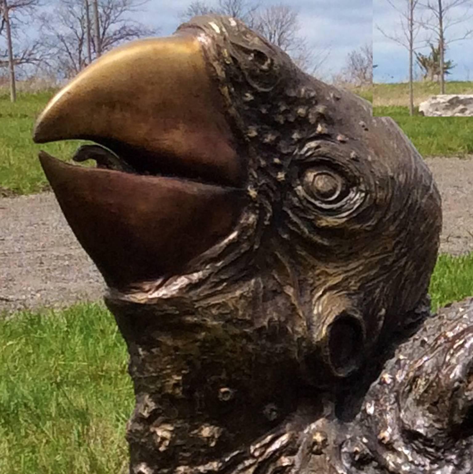 Figurative Sculpture de Nicholas Crombach - Guacamayo - escultura grande, rústica, figurativa, animal, pájaro, bronce, exterior
