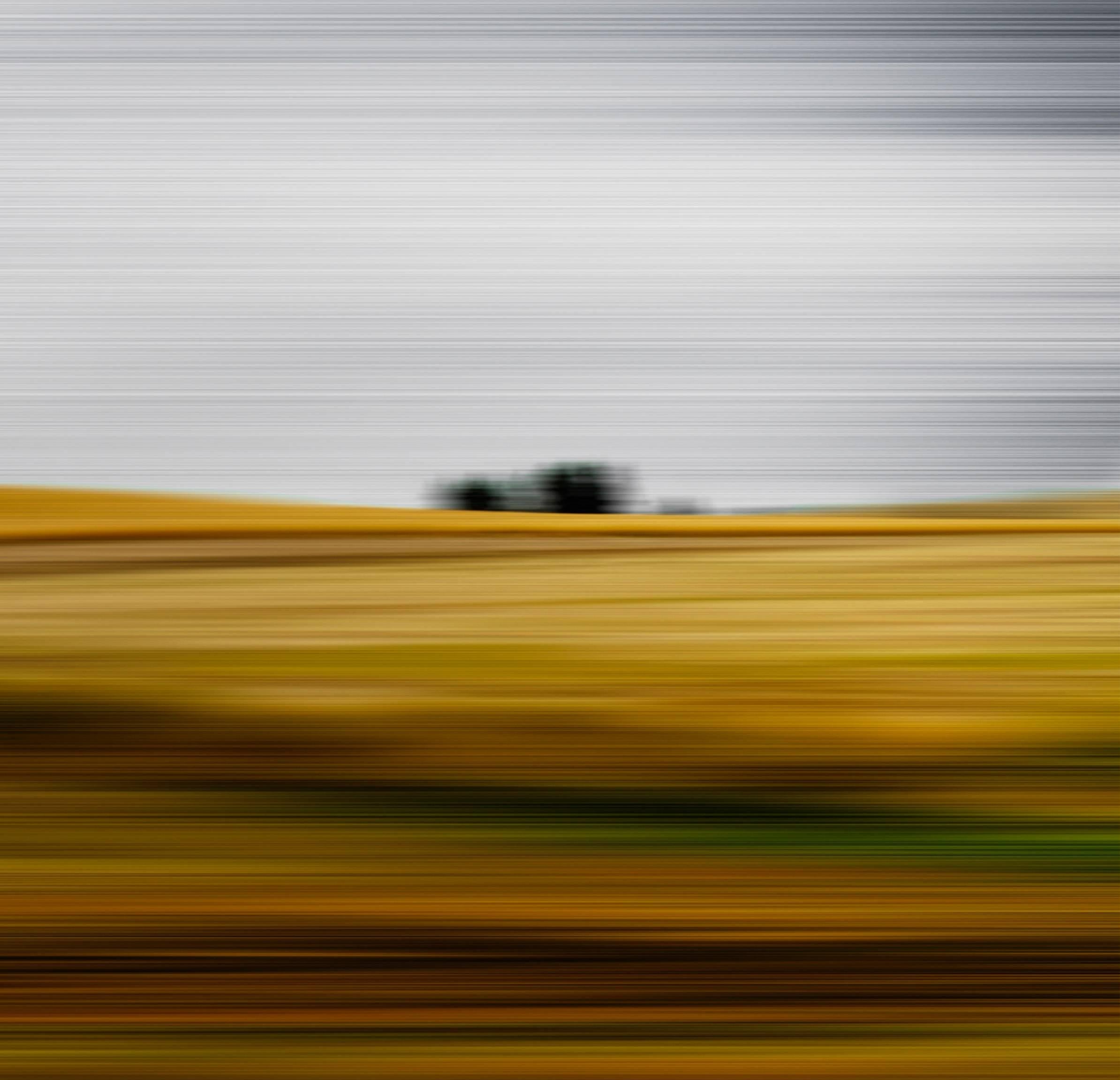 Fields of Wheat - Photograph by Etienne Labbe