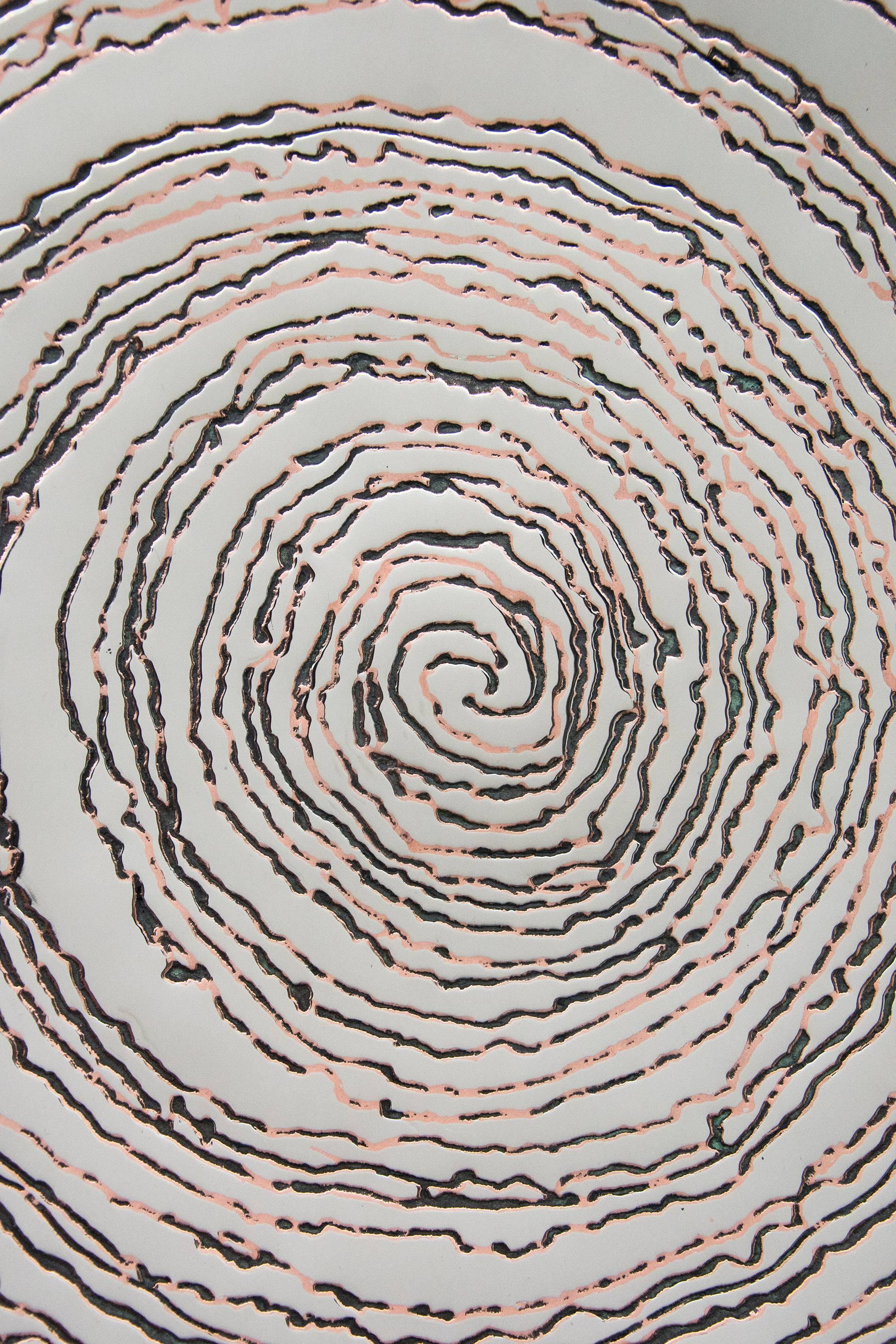 Serie Reflejos de la Naturaleza nº 1 - escultura mural reflectante de acero y cobre en venta 4