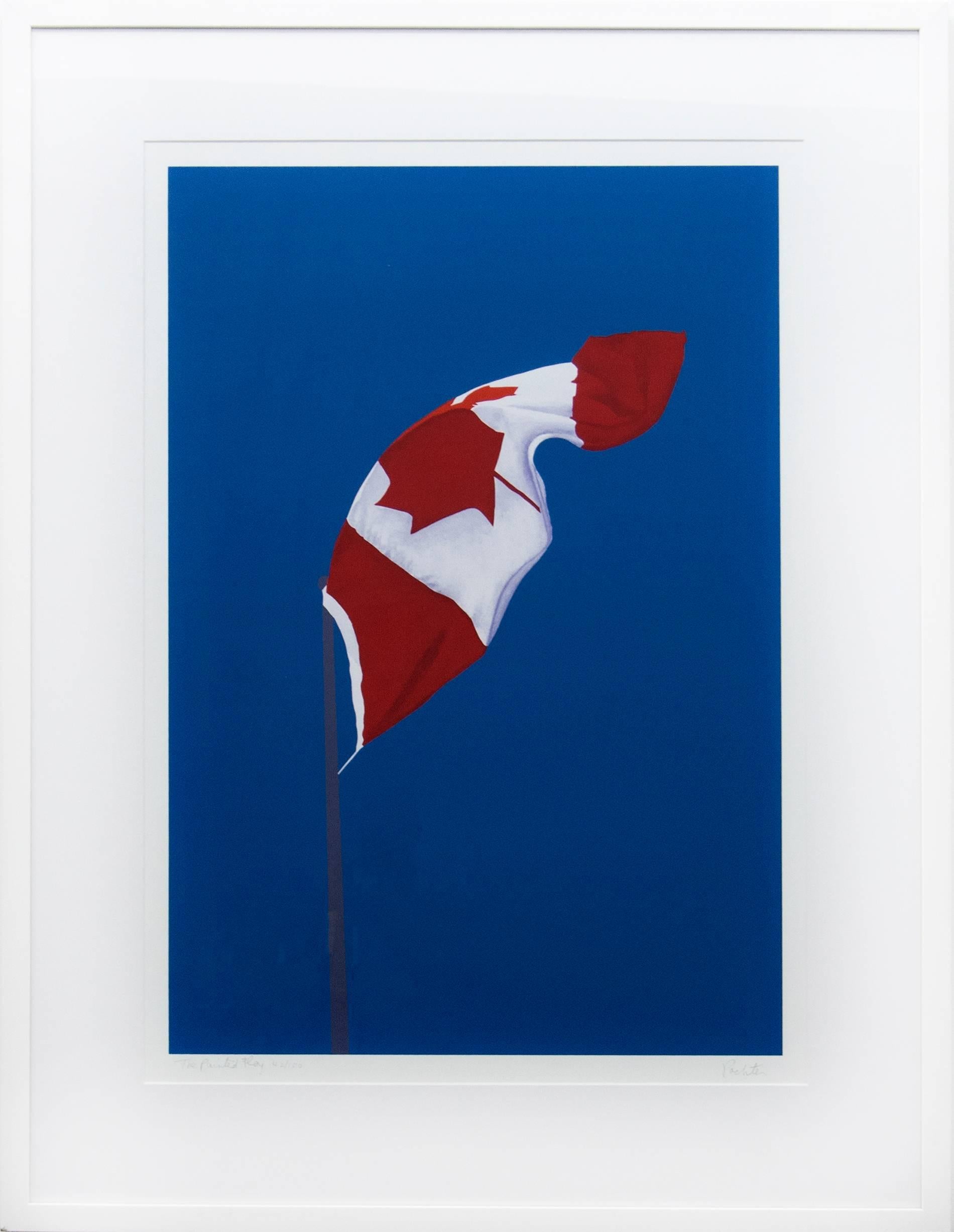 The Painted Flag  - Print by Charles Pachter