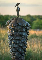 Sentinel Spruce Cone