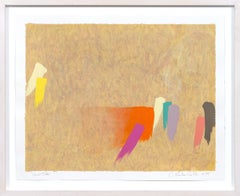 Desert Slide: Abstract Acrylic on Paper, Framed 22.25 x 27.5 in