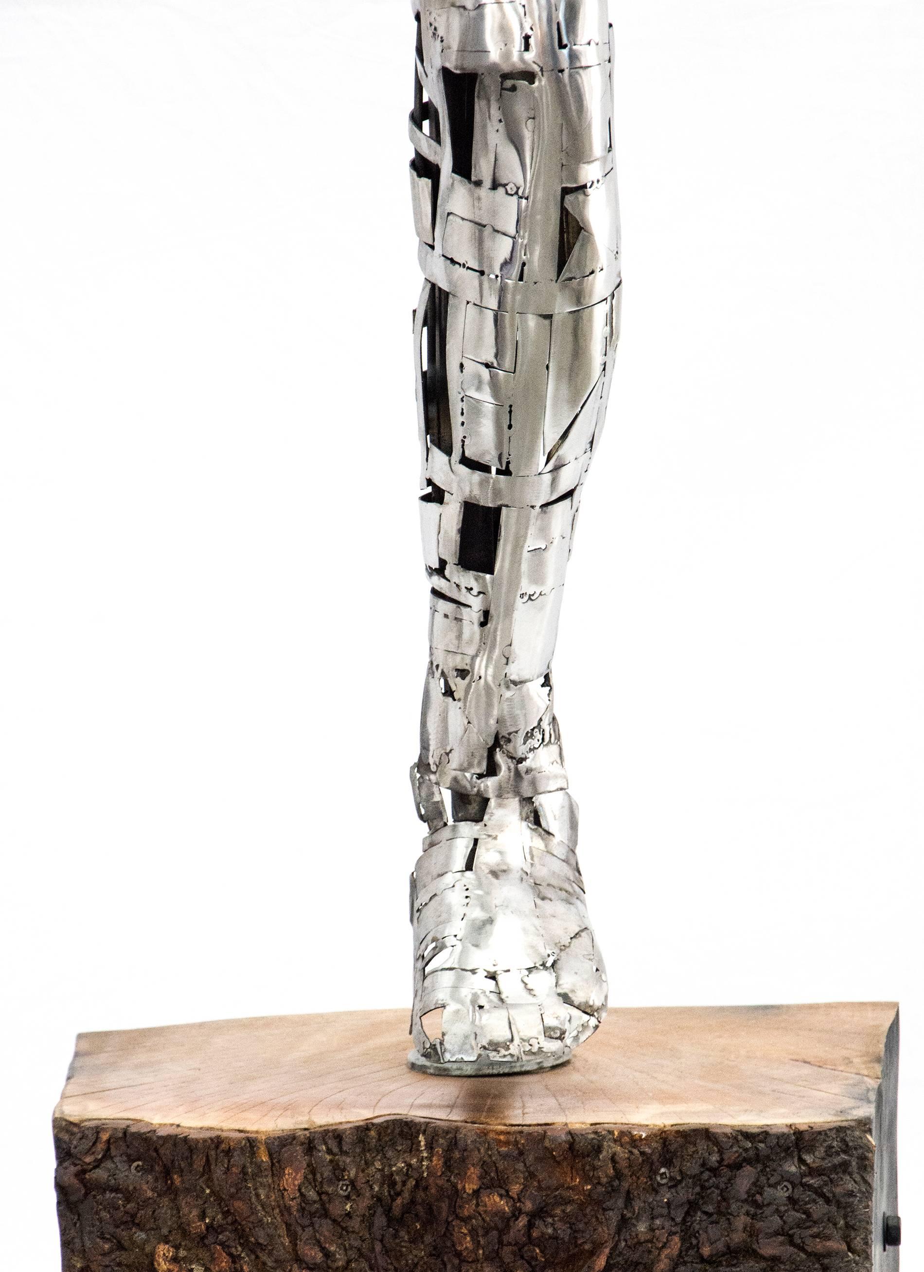 Dawning of a New Day (L'aube du Jour) – Hirschkopf, Edelstahl, Innenskulptur (Grau), Figurative Sculpture, von Philippe Pallafray