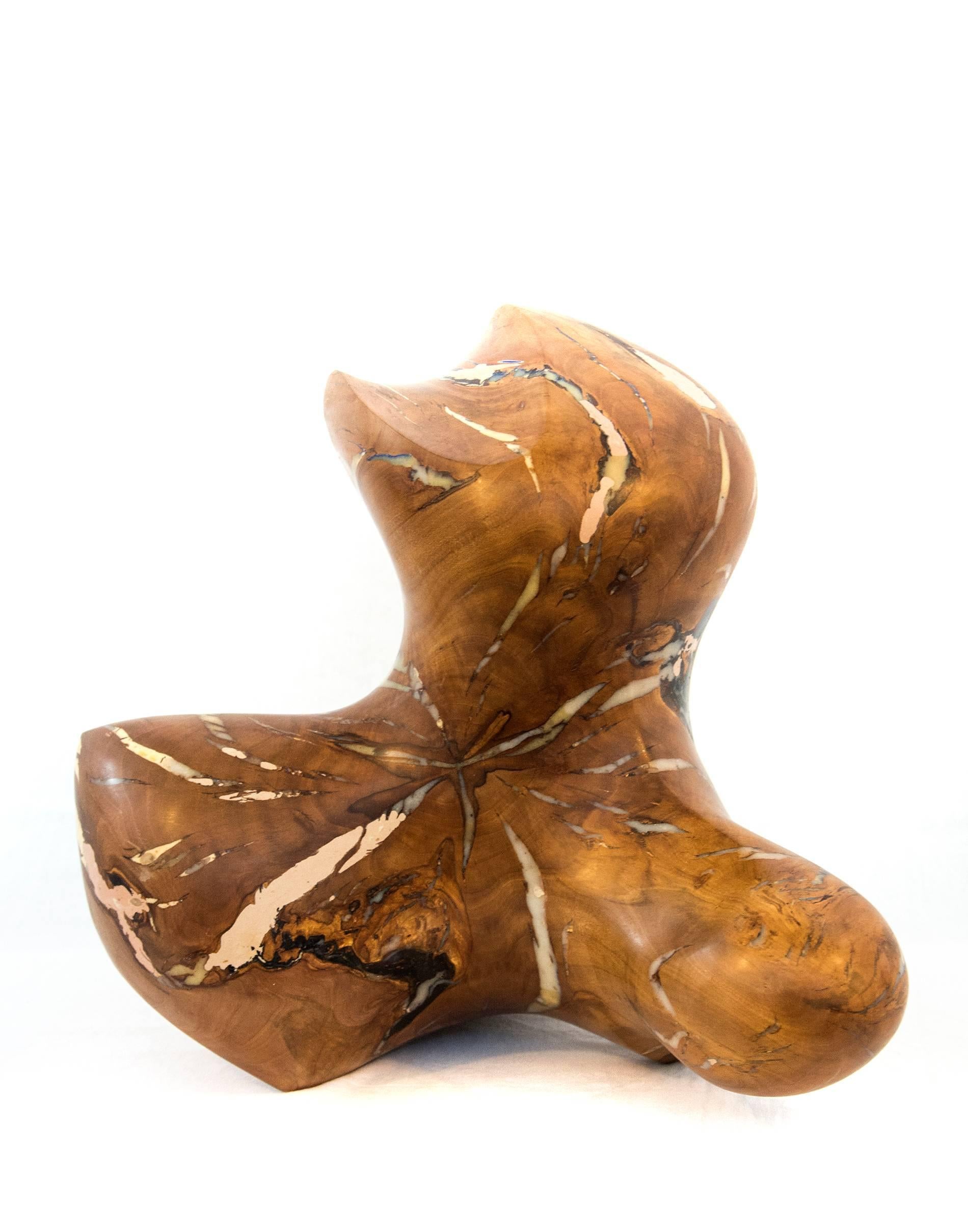 Shayne Dark Abstract Sculpture - Windfall Series No 07 - smooth, polished, natural wood abstract carved sculpture