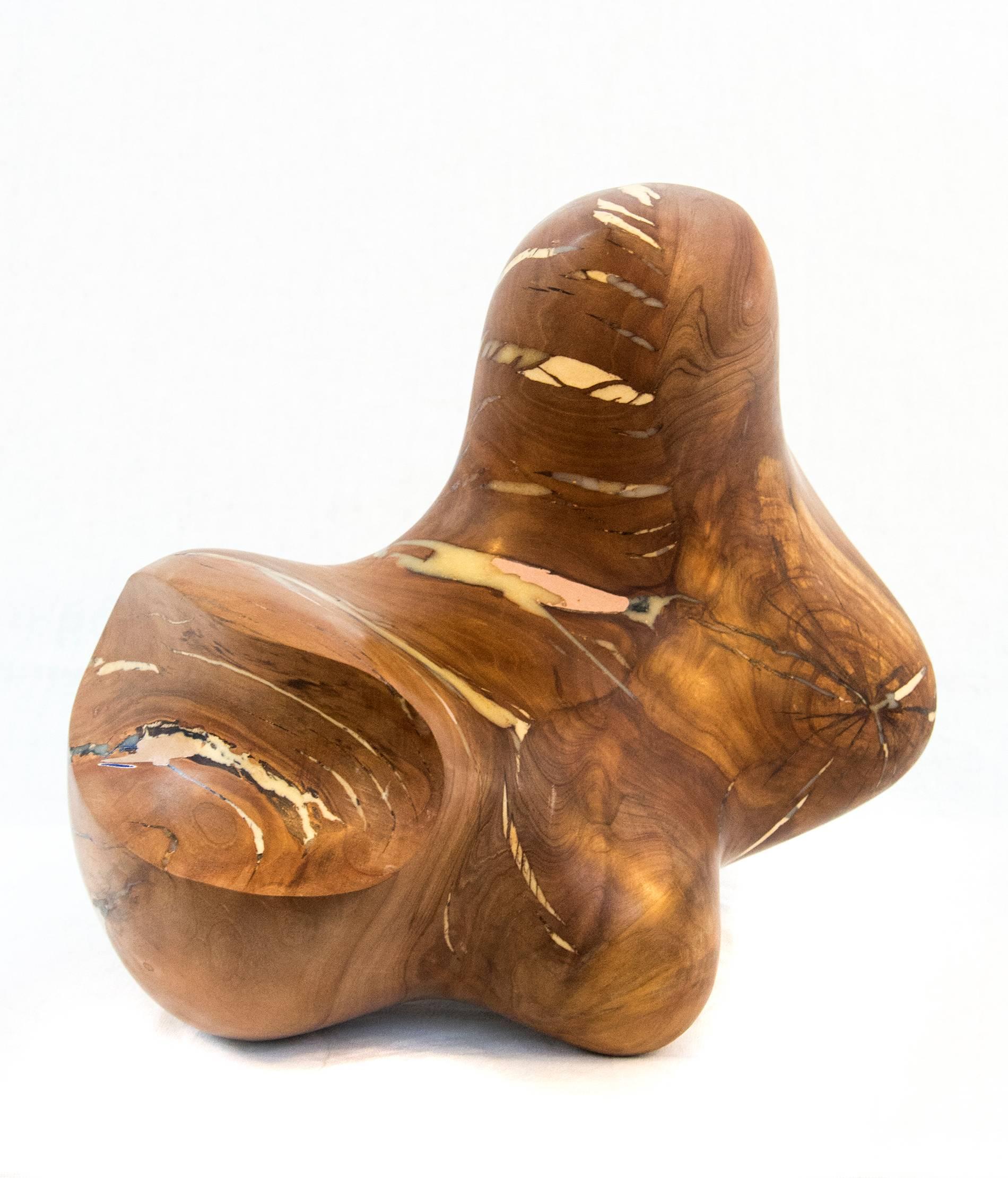 Windfall Series No 07 - smooth, polished, natural wood abstract carved sculpture - Contemporary Sculpture by Shayne Dark