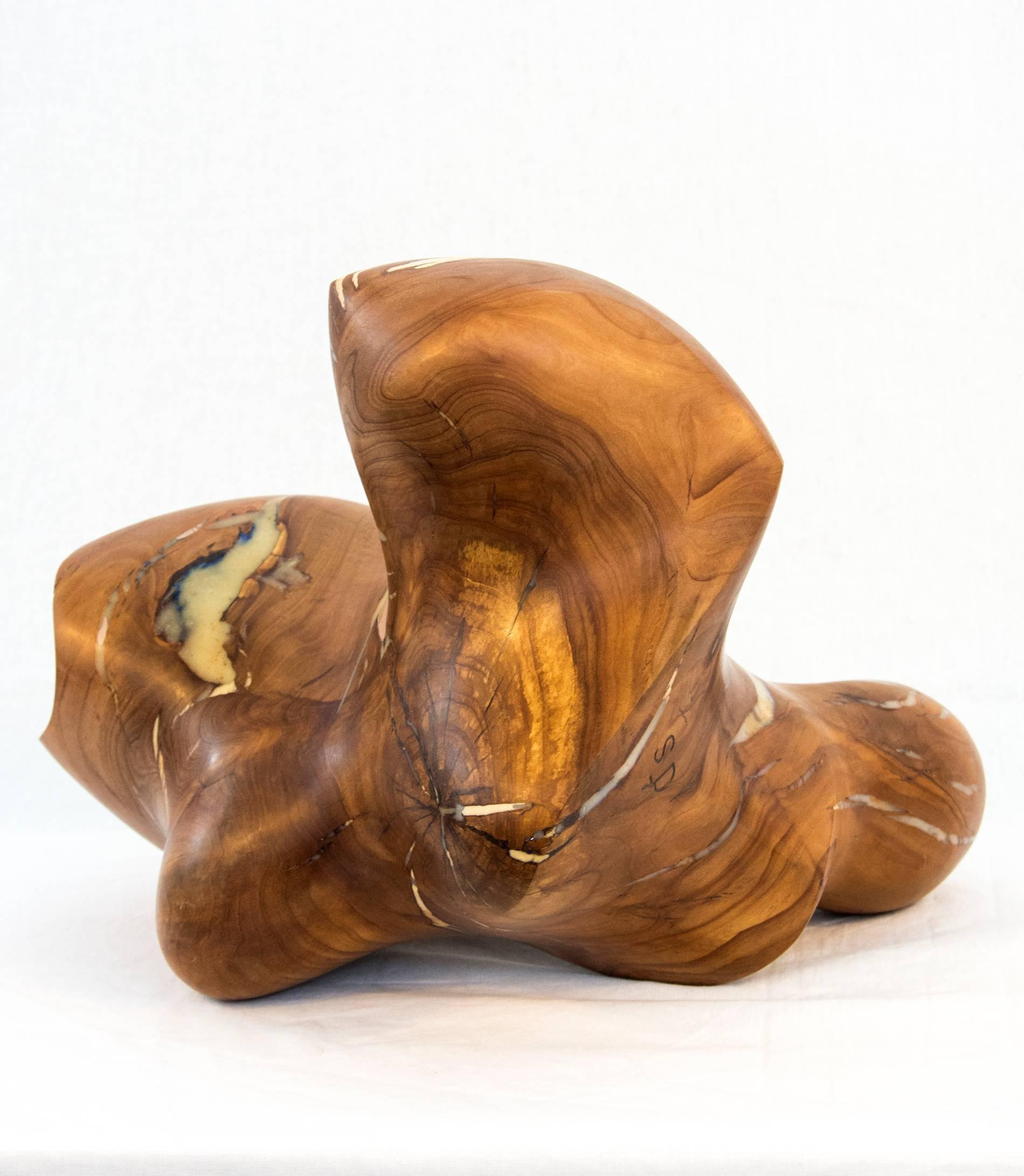 Windfall Series No 07 - smooth, polished, natural wood abstract carved sculpture - Brown Abstract Sculpture by Shayne Dark