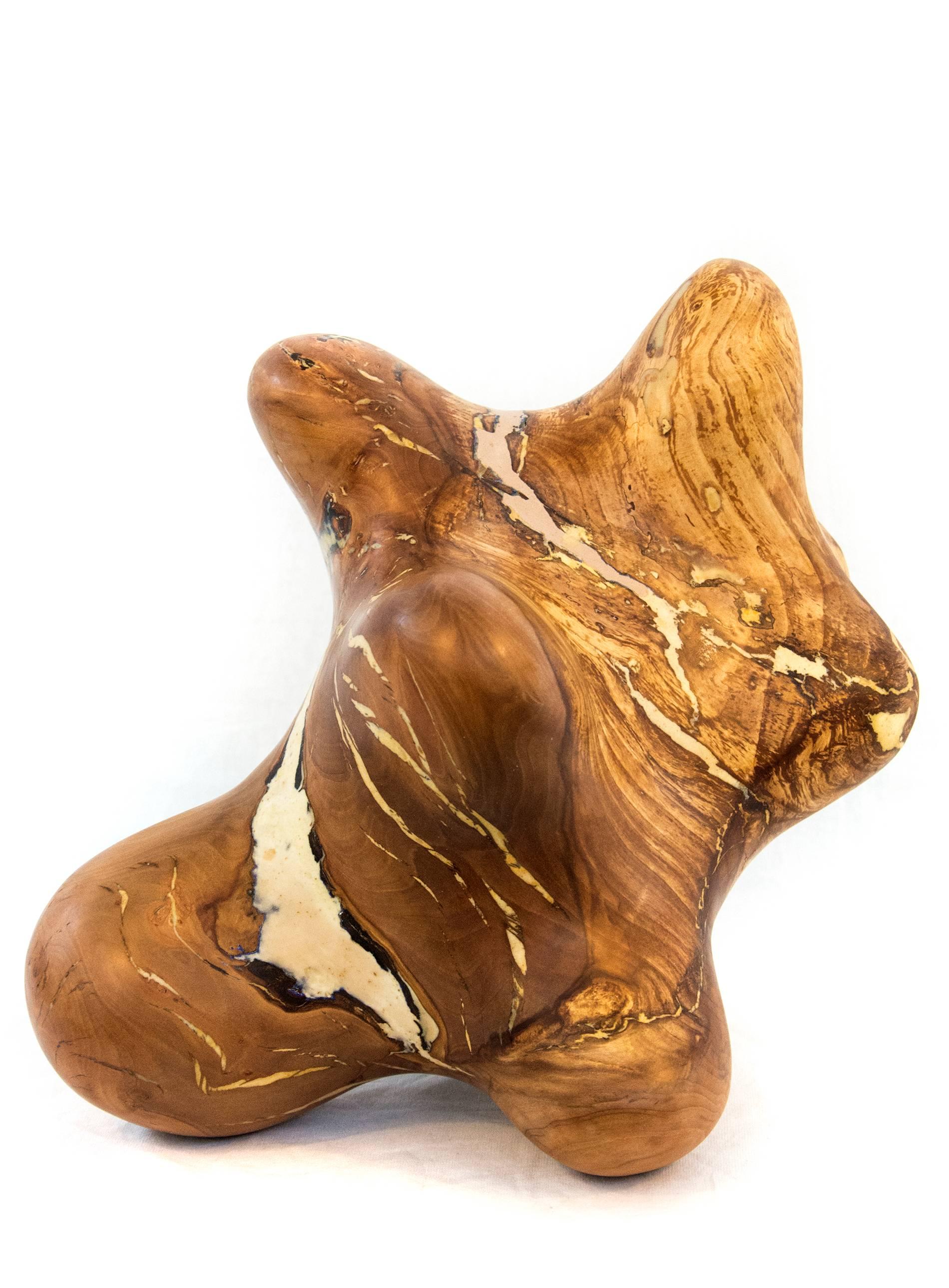 Windfall Series No 06 - smooth, polished, natural wood abstract carved sculpture - Sculpture by Shayne Dark