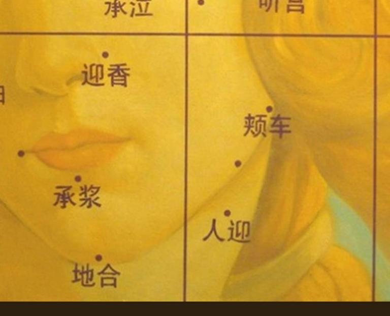 Nie Jian Bing incorporates Chinese characters in the skilled close up recreation of the face of the goddess from Botticelli's 1486 painting The Birth of Venus. The portrait is overlaid with a grid and dotted with acupuncture points that correspond