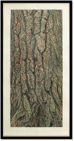 White Pine