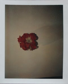 Fotografía Polaroid de Andy Warhol