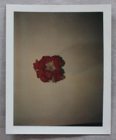 Fotografia Polaroid di Andy Warhol