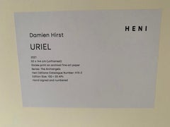 Uriel degli Arcangeli H15-2
