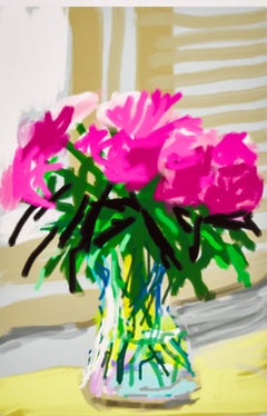 Nr. 535 iPhone-Zeichnung vom 28. Juni 2009 aus meinem Fenster (Pfingstrosen)