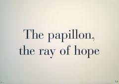 The papillon, the ray of hope