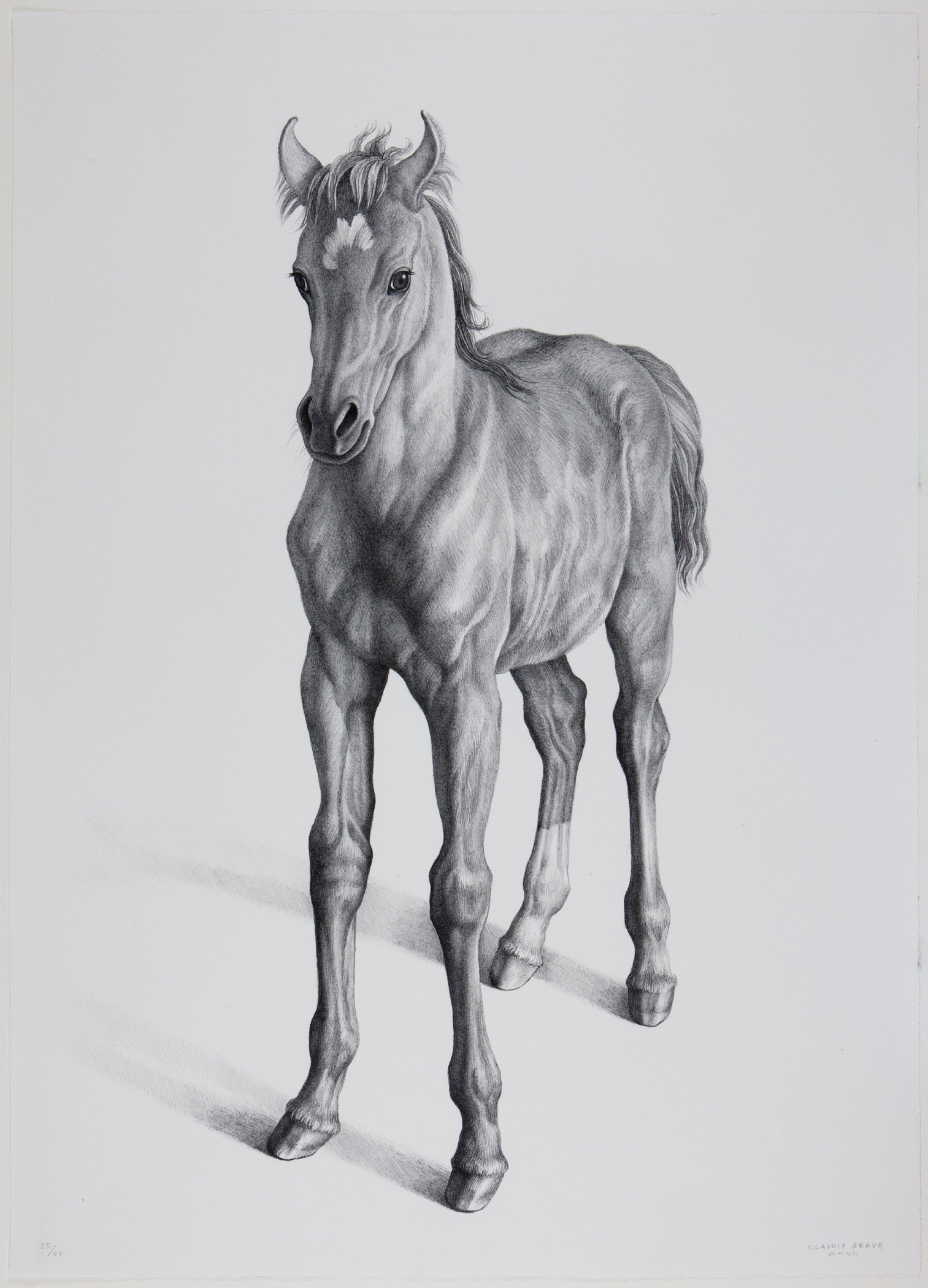 Claudio Bravo Potro For Sale At 1stdibs