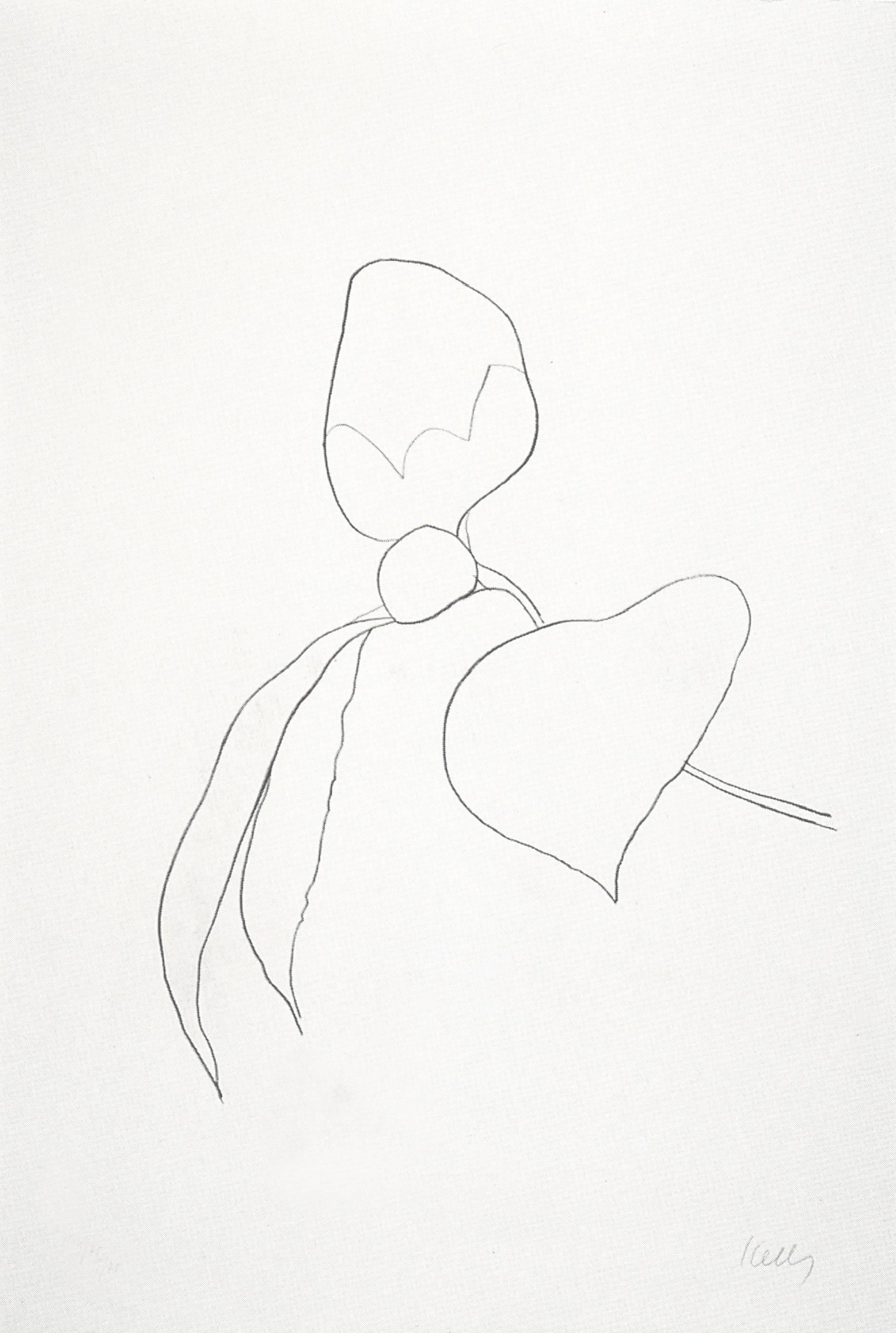 Ellsworth Kelly Figurative Print - Camellia I