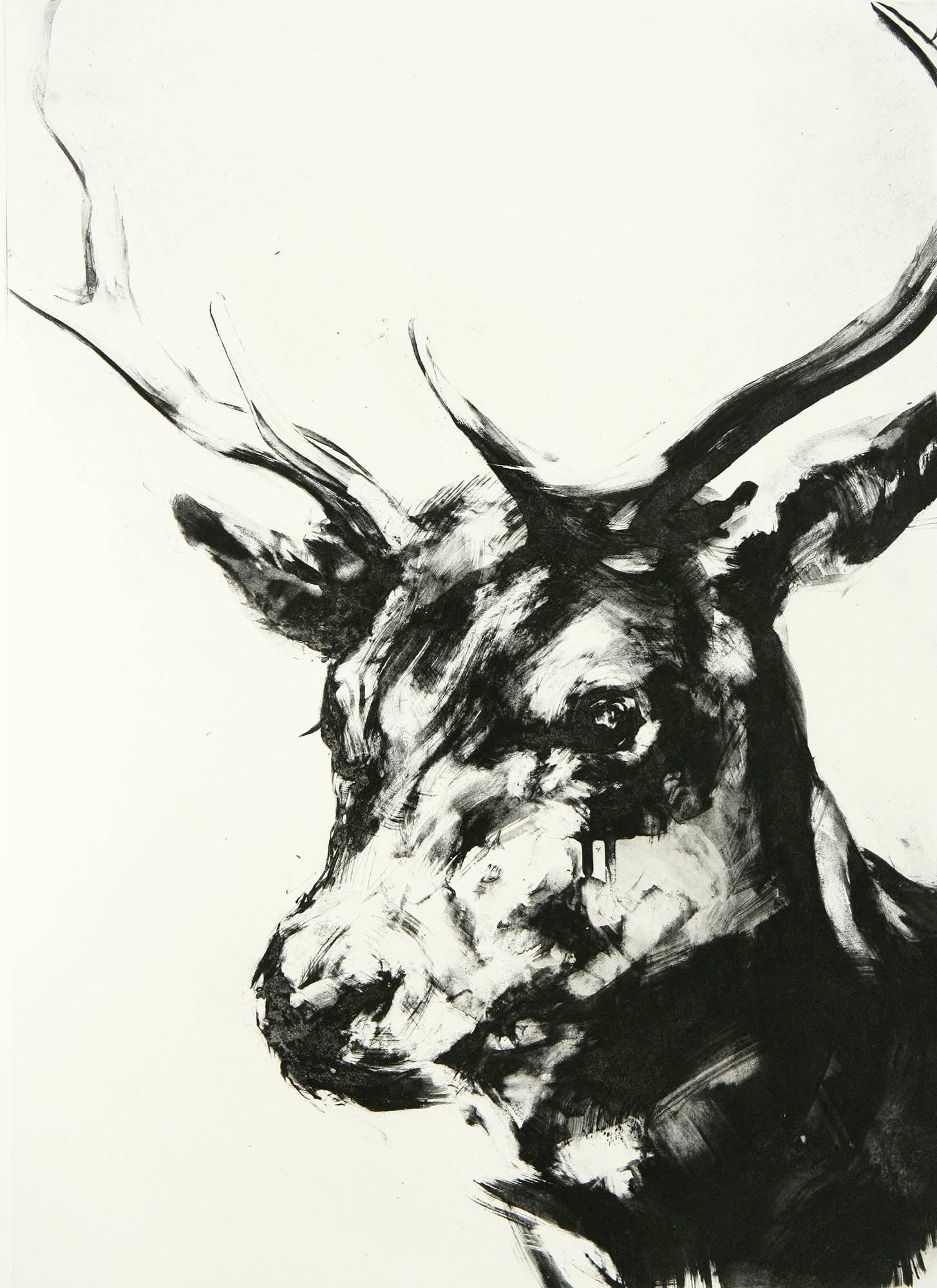 Nicola Hicks Animal Print - Stag