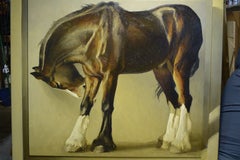 Caballo de tiro